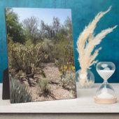 woestijn fotoplaat (Zijkant)