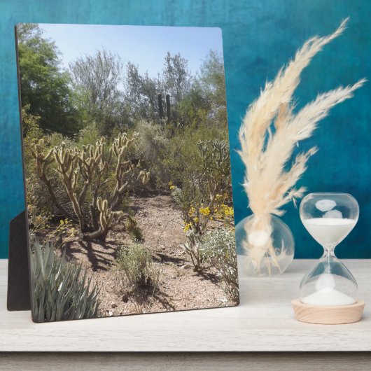 woestijn fotoplaat (Zijkant)