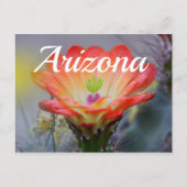 Woestijn in Bloom, Arizona Briefkaart (Voorkant)