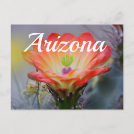 Woestijn in Bloom, Arizona Briefkaart