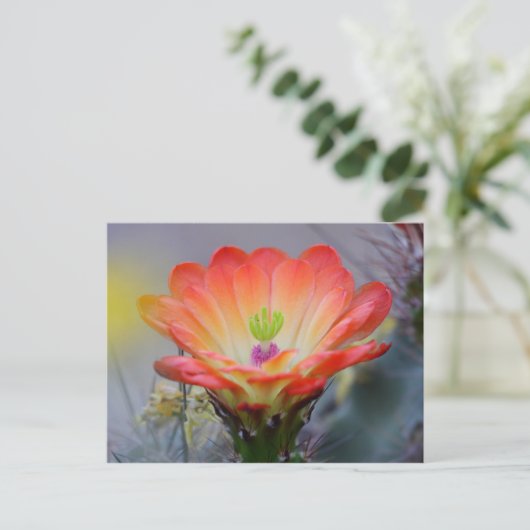 Woestijn in Bloom Briefkaart (Staand voorkant)