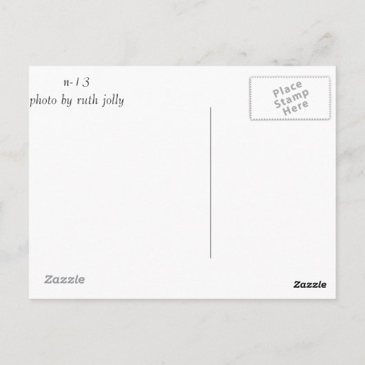 Woestijn in Bloom Briefkaart (Achterkant)