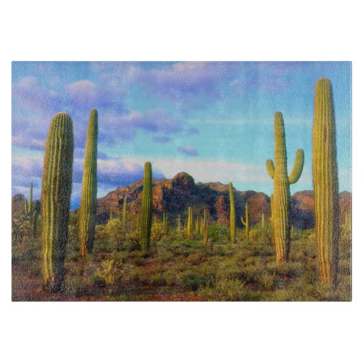 Woestijn in de lente snijplank (Voorkant)