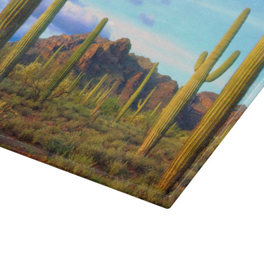 Woestijn in de lente snijplank (Hoek)