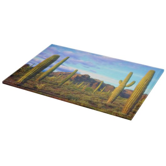 Woestijn in de lente snijplank (Hoek)