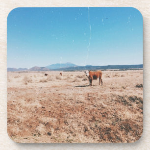 Woestijn Koe Bier Onderzetter