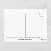 WOESTIJN LEVEN ONTWERP #1 BRIEFKAART (Achterkant)