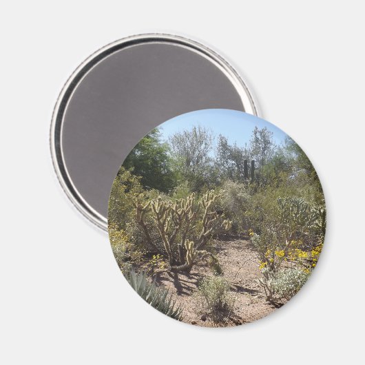 woestijn magneet (Voorkant / Achterkant)