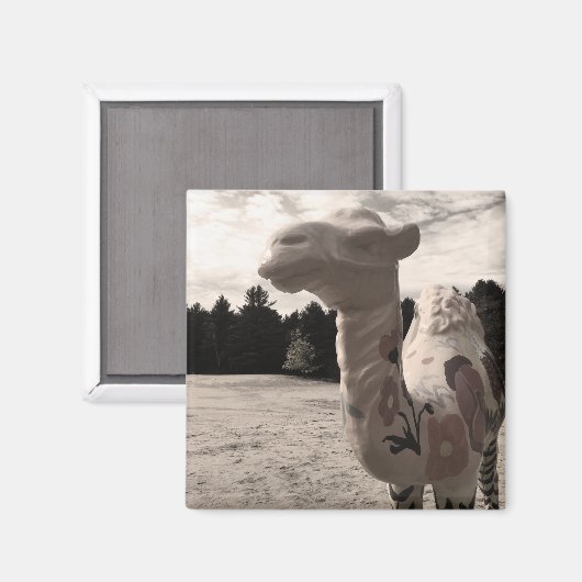 woestijn magneet (Voorkant / Achterkant)