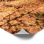 Woestijn met Saguaro cacti Poster (Hoek)