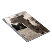 woestijn notitieboek (Rechterzijde)