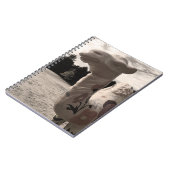 woestijn notitieboek (Linkerzijde)