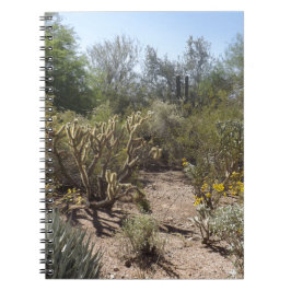 woestijn notitieboek