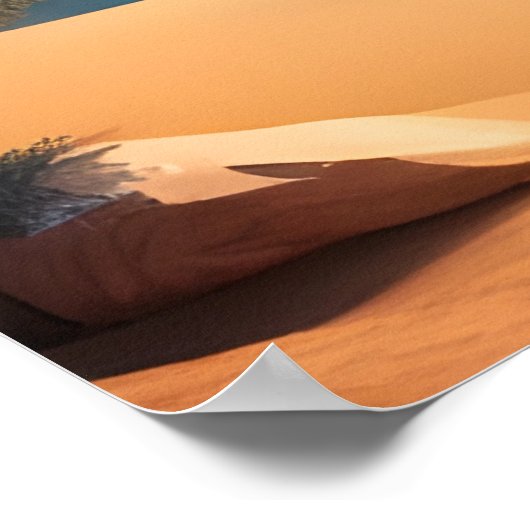 Woestijn oase en meer poster (Hoek)