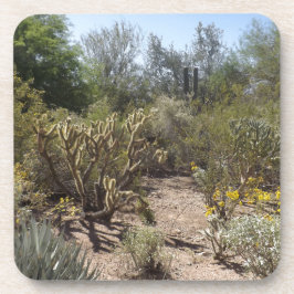 woestijn onderzetter