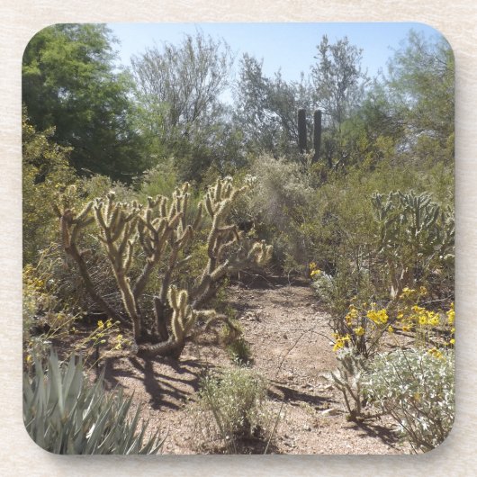 woestijn onderzetter (Voorkant)