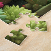 Woestijn Planten puzzel (Zijkant)