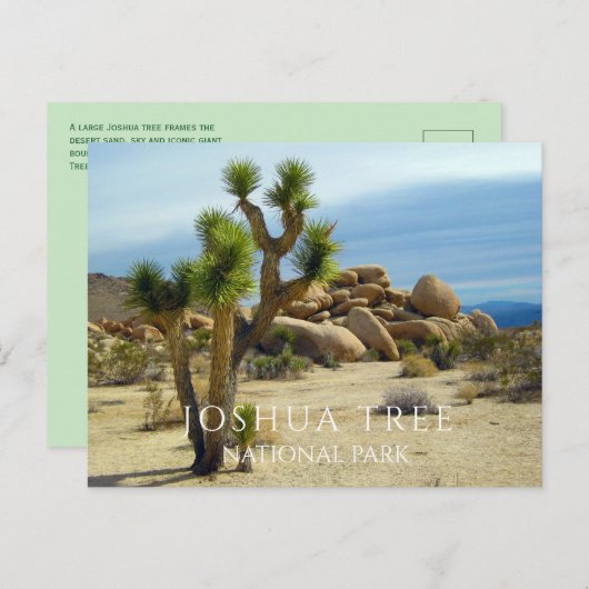 Woestijn Planten, Reuzenrotsblokken, Joshua Tree N Briefkaart (Voorkant / Achterkant)