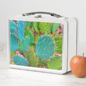 Woestijn Prickly Pear Cactus Green Garden (In situ)