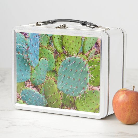 Woestijn Prickly Pear Cactus Green Garden (In situ)