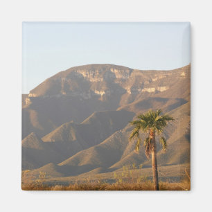 Woestijn ranch landschap bij Monterey, Mexico. Magneet