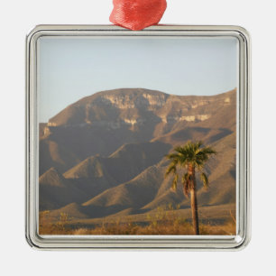 Woestijn ranch landschap bij Monterey, Mexico. Metalen Ornament