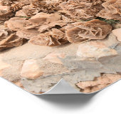 Woestijn Roos. Tunesië. Poster (Hoek)