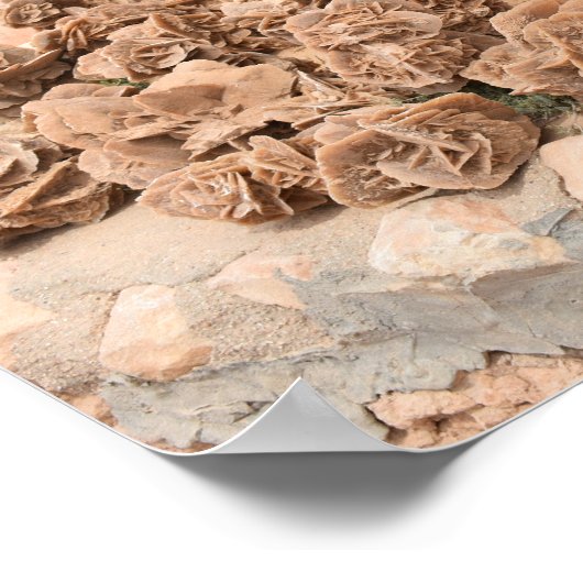 Woestijn Roos. Tunesië. Poster (Hoek)