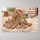 Woestijn Roos. Tunesië. Poster (Voorkant)