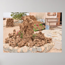 Woestijn Roos. Tunesië. Poster