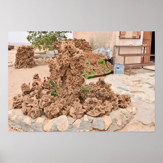 Woestijn Roos. Tunesië. Poster (Voorkant)