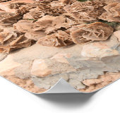 Woestijn Roos. Tunesië. Poster (Hoek)