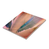 woestijn Succulent Tegeltje (Zijkant)