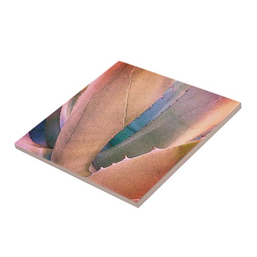 woestijn Succulent Tegeltje (Zijkant)