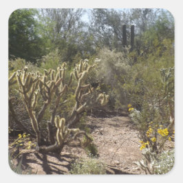 woestijn vierkante sticker