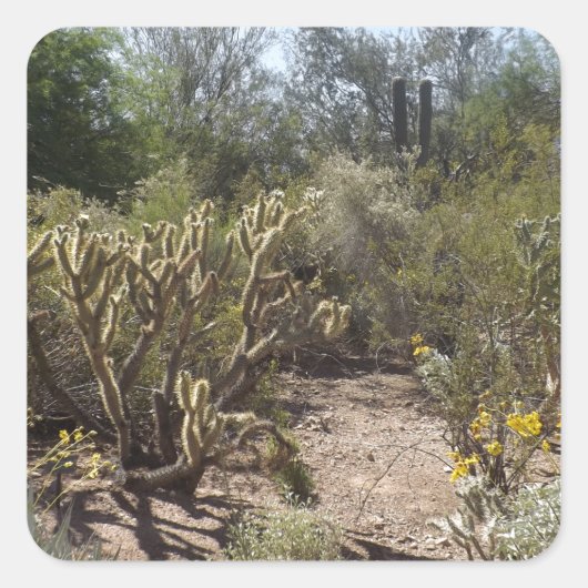 woestijn vierkante sticker (Voorkant)