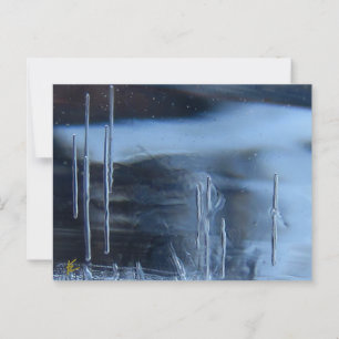 Woestijn Visie Zoektocht, Saguaro 's Nachts Briefkaart