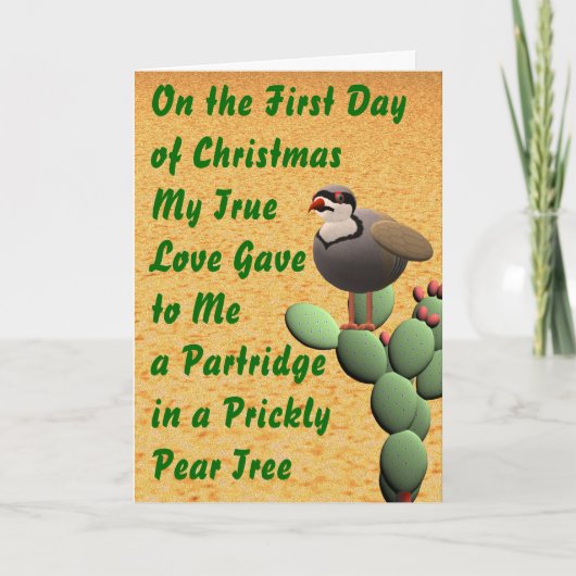 Woestijn Vrolijk Kerstfeest Feestdagen Kaart (Voorkant)