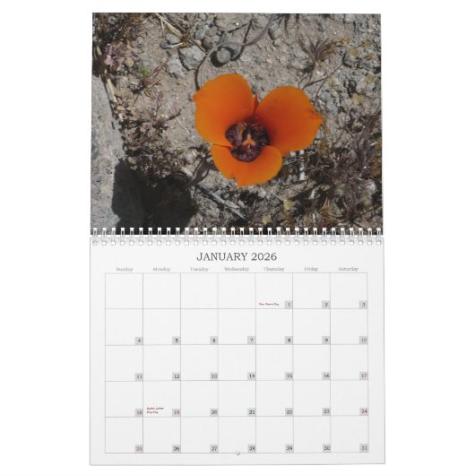 Woestijn Wildbloemen Calander Kalender (Jan 2026)