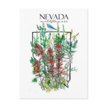 Woestijn Wildbloemen Nevada Indiase verfkwast