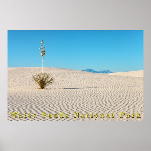 Woestijn Witte Zandlandschap en Yucca Poster (Voorkant)