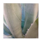 Woestijn Zuidwest Botanisch Tegeltje (Voorkant)