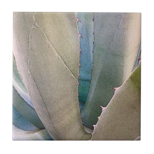 Woestijn Zuidwest Botanisch Tegeltje (Voorkant)