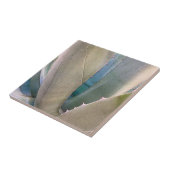 Woestijn Zuidwest Botanisch Tegeltje (Zijkant)