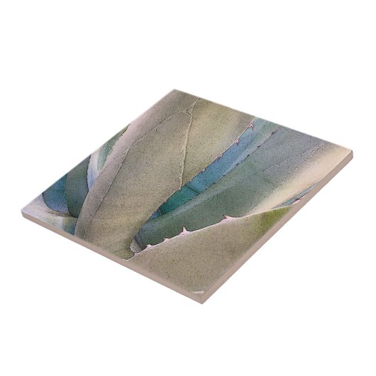 Woestijn Zuidwest Botanisch Tegeltje (Zijkant)