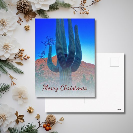 Woestijn Zuidwest Cactus Foto Kerstmis Feestdagenkaart