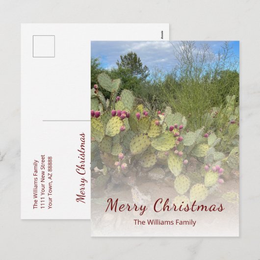 Woestijn Zuidwest Prickly Pear Cactus Kerstmis Feestdagenkaart (Voorkant / Achterkant)