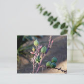 Woestijnbloemen Briefkaart (Staand voorkant)