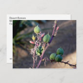 Woestijnbloemen Briefkaart (Voorkant / Achterkant)