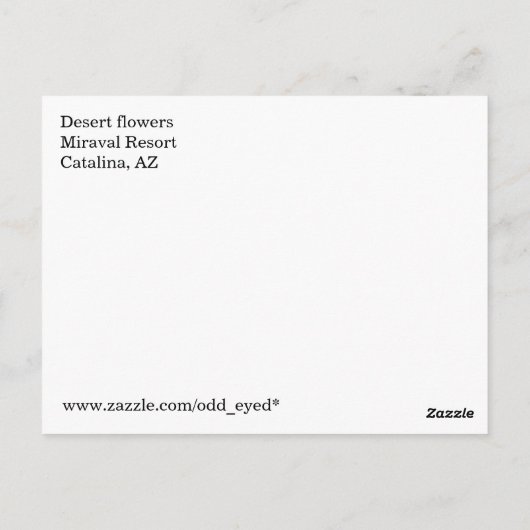 Woestijnbloemen Briefkaart (Achterkant)